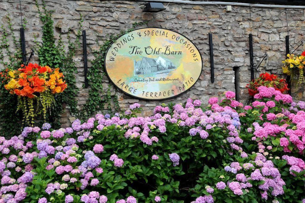 The Old Barn Inn Newport Kültér fotó